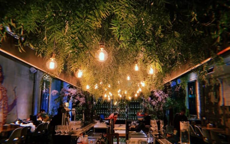 Cumpleaños tutto incluso promos